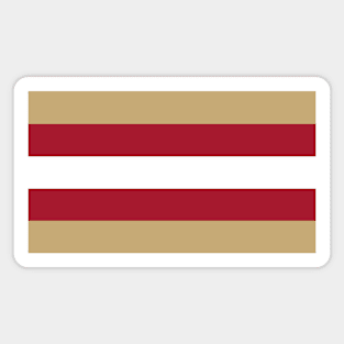 San Francisco Color Stripes Magnet